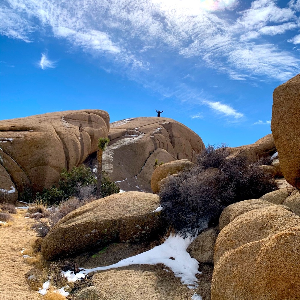 Meet your Posher, Alexandra